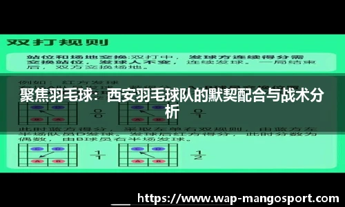 聚焦羽毛球：西安羽毛球队的默契配合与战术分析
