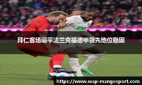 芒果体育官网入口