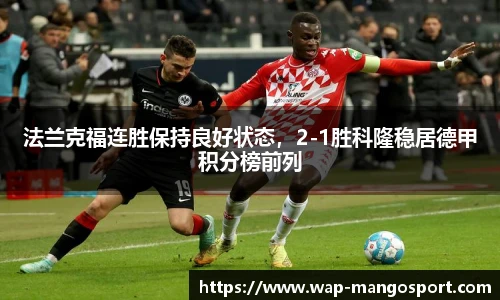 芒果体育官网入口