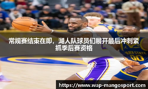 芒果体育官网入口