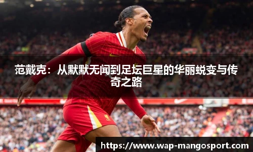 范戴克：从默默无闻到足坛巨星的华丽蜕变与传奇之路