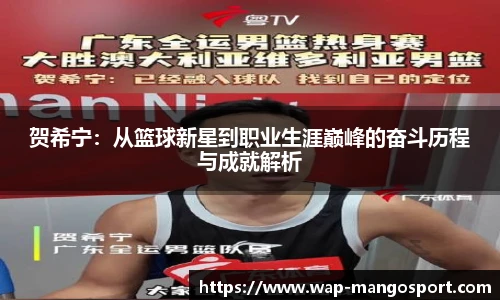 贺希宁：从篮球新星到职业生涯巅峰的奋斗历程与成就解析